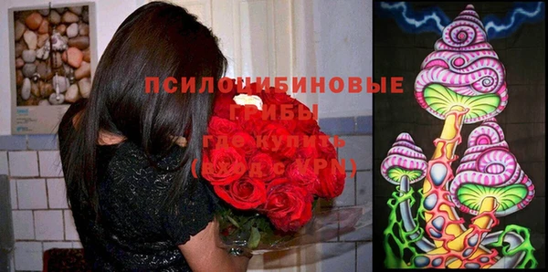 прущая мука Абинск