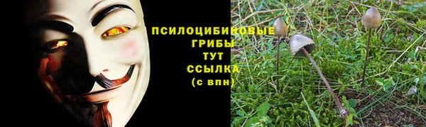 прущая мука Абинск