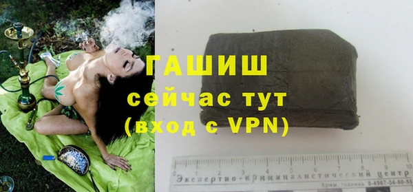 гашик Алексеевка