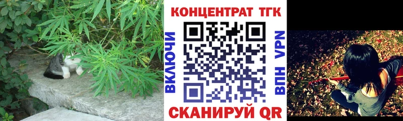 купить наркотики цена  Тавда  Дистиллят ТГК THC oil 