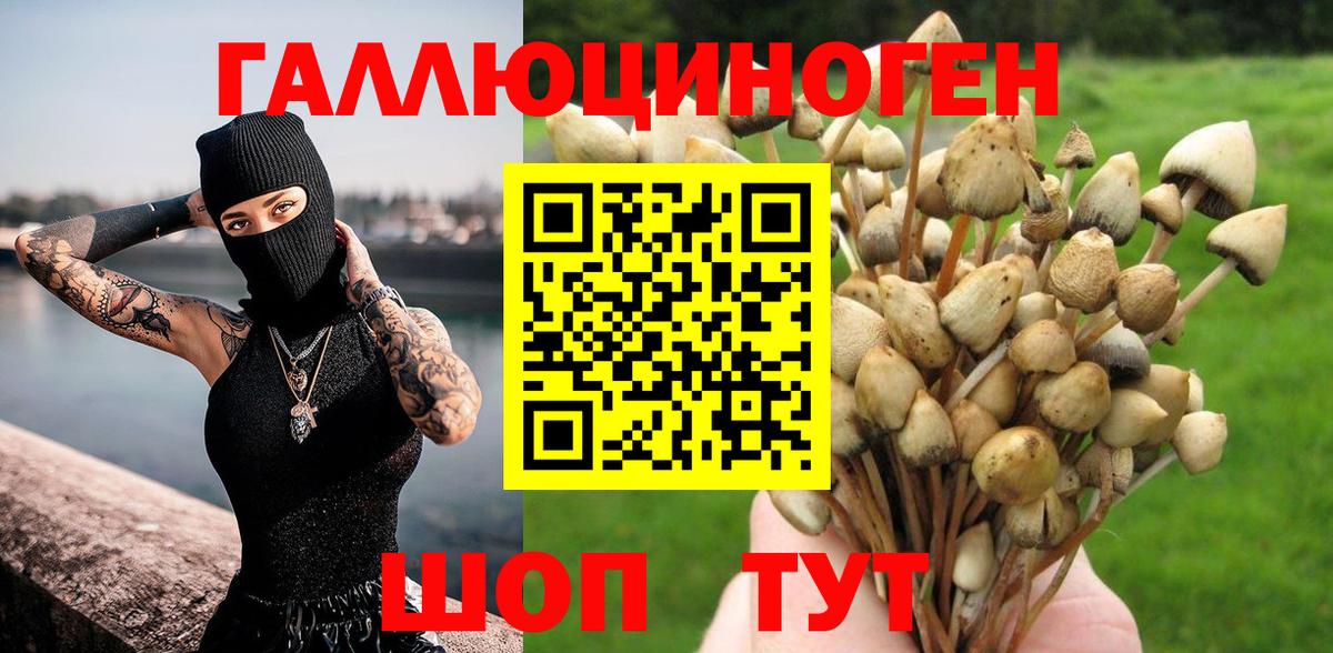 Галлюциногенные грибы ЛСД Тавда